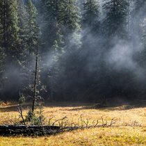 So schön kann ein Herbstmorgen auf der Lombachalp sein: Die Sonnenstrahlen brechen durch die Wolkendecke, das Moor dampft, und das Riedgras schillert in allen Farben.