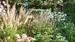 Gräser und spät blühende Stauden wie Fetthenne und Herbstanemone erfreuen im Spätsommer und bis in den Herbst hinein.