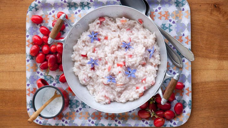 Spätsommerliches Nationalgericht: rot-weisser Kornelkirschen-Risotto. Die blauen Blüten sind vom Borretsch.