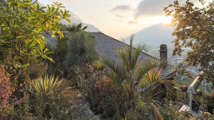Atemberaubende Sicht auf Rhonetal und Walliser Alpen: Nicolas Tromberts kleines Haus im beschaulichen Weiler Tassonières liegt harmonisch eingebettet in einer üppigen exotischen Flora.
