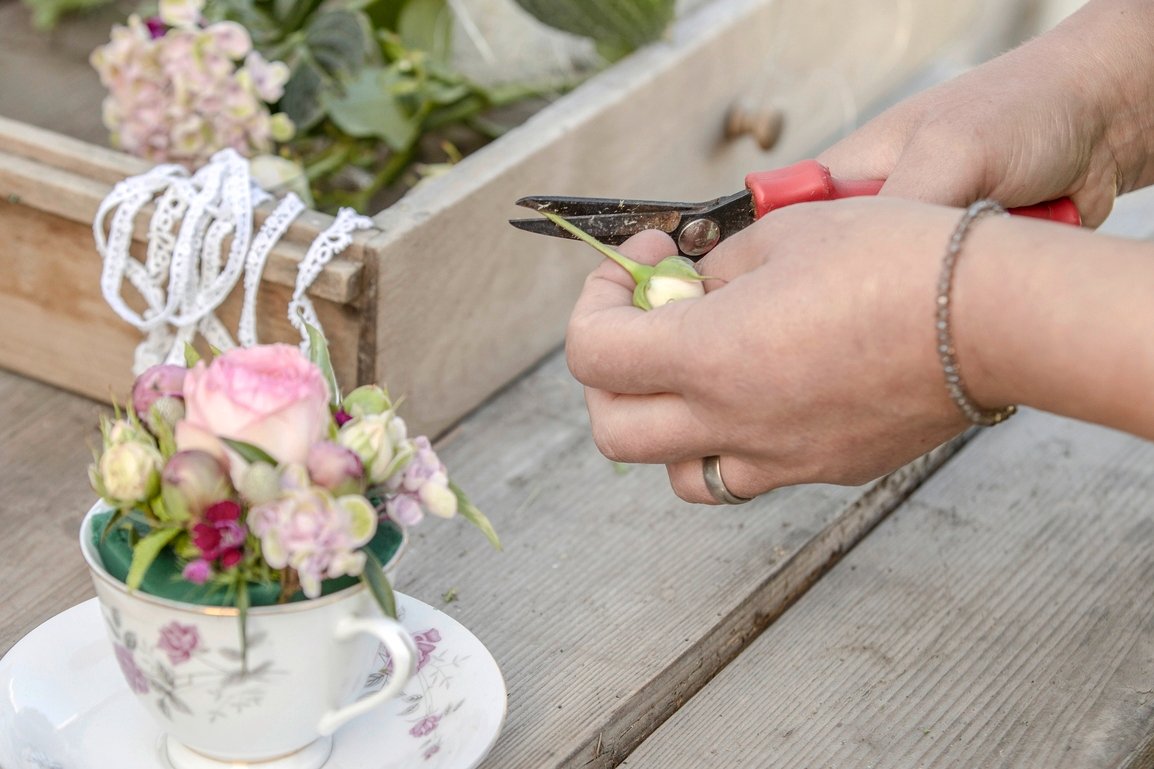 Blume mit scharfer Schere schneiden