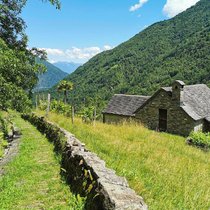 Altes Handwerk: Vielerorts säumen Trockensteinmauern die Wege der Via del Mercato, wie hier beim Abstieg von Calezzo nach Intragna.