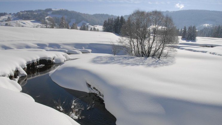 Sonne, Schnee und schöne Stunden. Ein Winterspaziergang durch das Moor bei Rothenthurm SZ sorgt für ein frohes Gemüt.