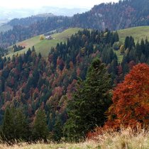 Hogerland