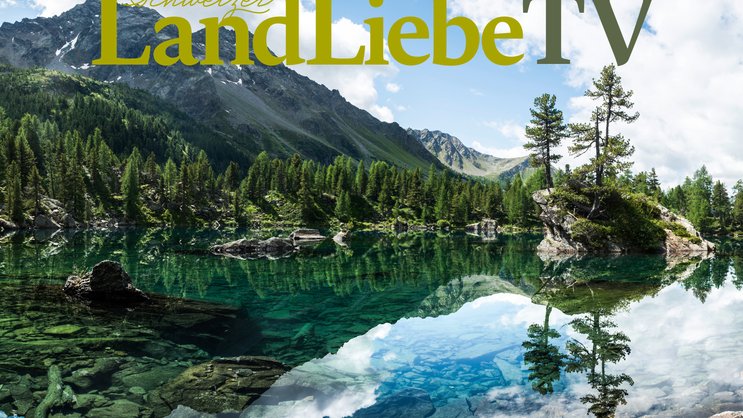 LandLiebe TV Wallpaper