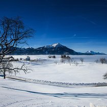 Wow! An solchen Tagen wird der Hausberg der Zugerinnen und Zuger zur Meeresdestination. Der Blick auf den nebelverhangenen See ist grandios.