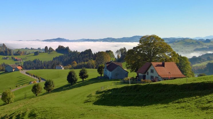 Über dem Bodensee liegt noch Morgennebel, doch die Höhen rund um Schwellbrunn AR sind bereits von der Sonne verwöhnt: Im Aufstieg vom Dorf nach Högg gibt es viel Licht und Weite.