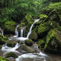 In der Twannbachschlucht zwischen Magglingen und Twann BE braucht es gutes Schuhwerk – und viel Zeit zum Bestaunen der Moos- und Felsformationen.