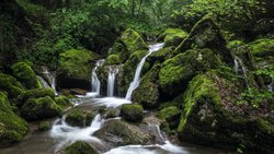 In der Twannbachschlucht zwischen Magglingen und Twann BE braucht es gutes Schuhwerk – und viel Zeit zum Bestaunen der Moos- und Felsformationen.