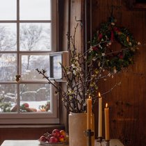 Das Schneiden und Aufstellen von Barbarazweigen ist ein alter, fast vergessener Adventsbrauch. Gehen die Blüten genau an Heiligabend auf, verheisst dies Glück und Segen im neuen Jahr.