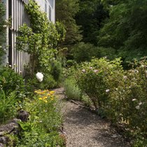 Ein Kiesweg führt vom kleinen Ziergarten in den grösseren, dahinter liegenden Gartenbereich. Die Wege und Beete sind bis heute mit den ursprünglichen formwilden Kalksteinen eingefasst.