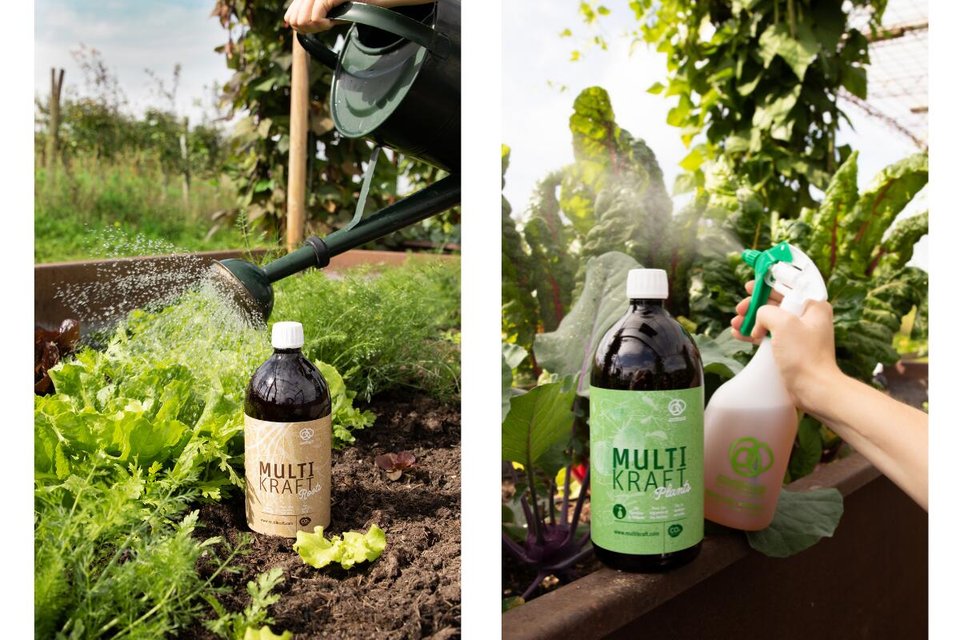 Multikraft Roots und Plants im Einsatz