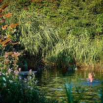Anna Ammann geniesst ein erfrischendes Bad im Schwimmteich. Schilf und Seggen helfen, das Wasser auf natürliche Weise zu reinigen.