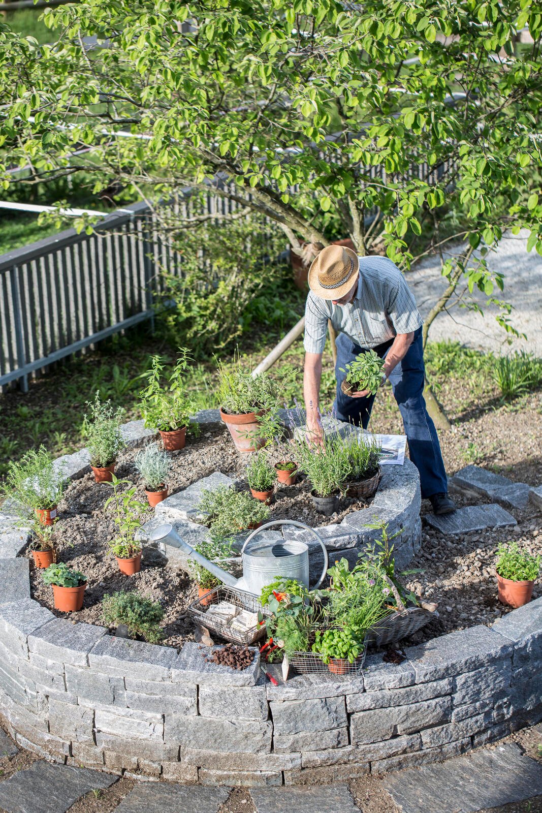 Garten-Experte Peter Lippus richtet Kräuter in Kräuterspirale an