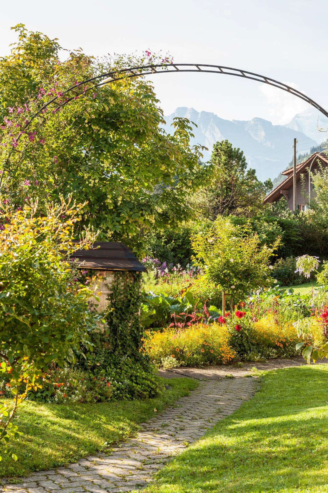 Blick in den Garten von Laueners in Frutigen: Bogen mit einer Waldrebe