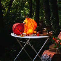 Der Natur abgeguckt: Die Laternen erinnern an eine Physalis. Doch unsere Variante leuchtet im Dunkeln.