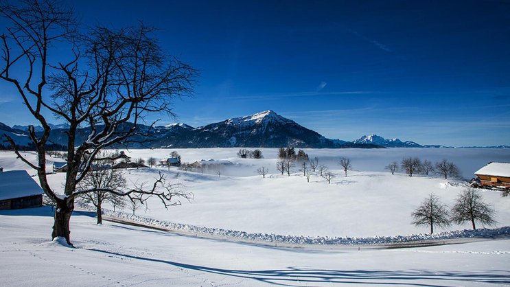 Wow! An solchen Tagen wird der Hausberg der Zugerinnen und Zuger zur Meeresdestination. Der Blick auf den nebelverhangenen See ist grandios.