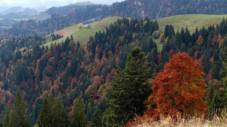 Hogerland