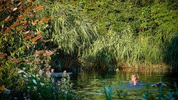 Anna Ammann geniesst ein erfrischendes Bad im Schwimmteich. Schilf und Seggen helfen, das Wasser auf natürliche Weise zu reinigen.