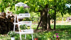 Blumen, Gewürze oder Früchte – welches Töpfchen zuoberst auf dem Treppchen steht, entscheiden Sie!