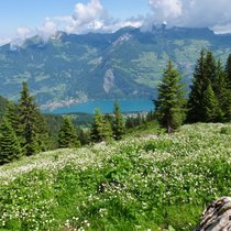 Wanderung am Weekend Nüenchamm