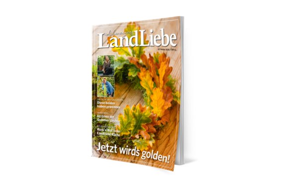 Cover LandLiebe 7/2026