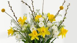Blume April