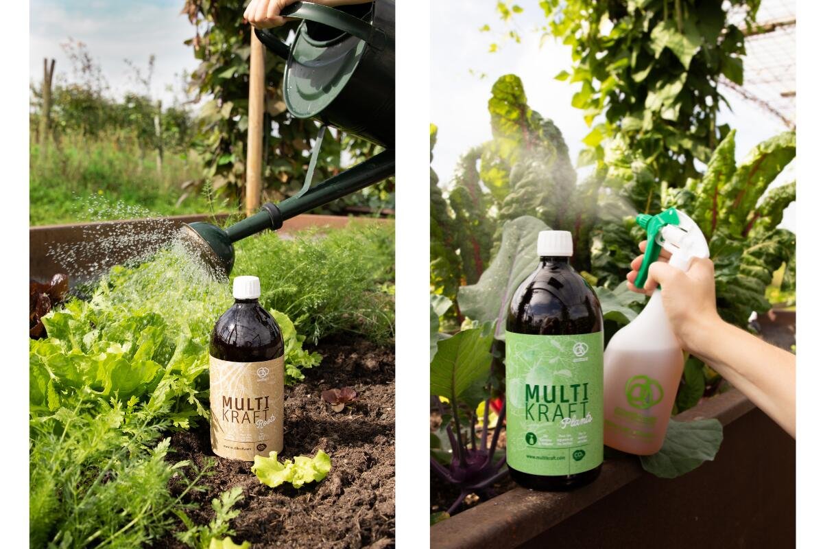 Multikraft Roots und Plants im Einsatz