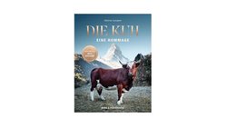Newsletter Verlosung