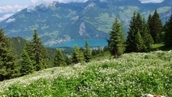 Wanderung am Weekend Nüenchamm