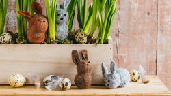 SL_sandra_ostern-12.jpg