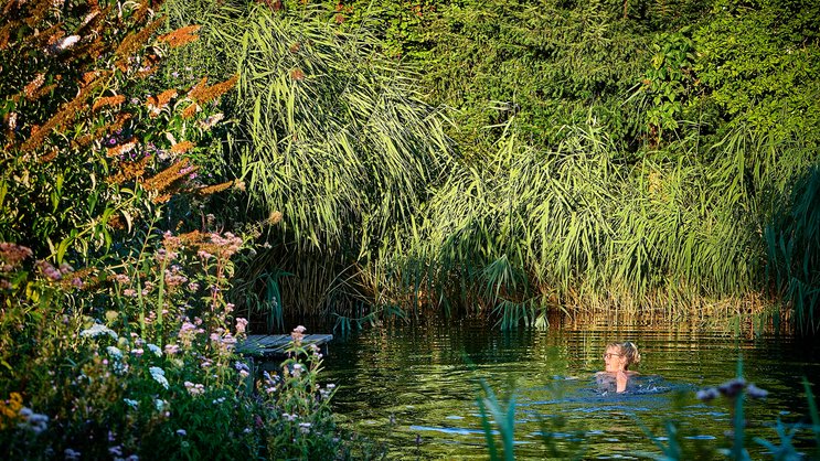 Anna Ammann geniesst ein erfrischendes Bad im Schwimmteich. Schilf und Seggen helfen, das Wasser auf natürliche Weise zu reinigen.