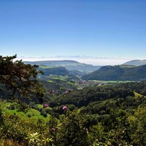 Prima Panorama