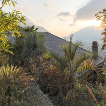 Atemberaubende Sicht auf Rhonetal und Walliser Alpen: Nicolas Tromberts kleines Haus im beschaulichen Weiler Tassonières liegt harmonisch eingebettet in einer üppigen exotischen Flora.