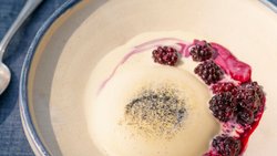 Süsslupinen Panna Cotta