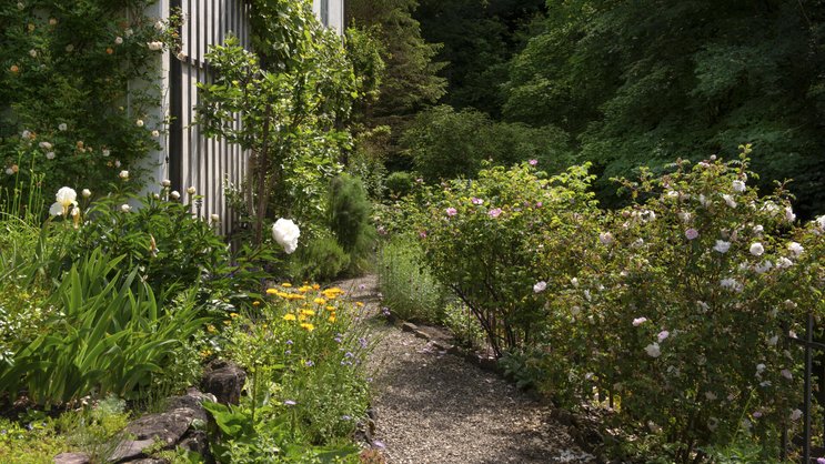 Ein Kiesweg führt vom kleinen Ziergarten in den grösseren, dahinter liegenden Gartenbereich. Die Wege und Beete sind bis heute mit den ursprünglichen formwilden Kalksteinen eingefasst.