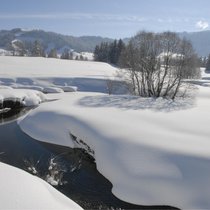 Sonne, Schnee und schöne Stunden. Ein Winterspaziergang durch das Moor bei Rothenthurm SZ sorgt für ein frohes Gemüt.