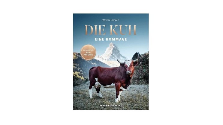 Newsletter Verlosung