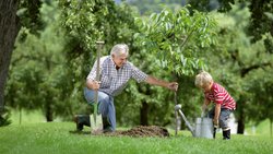 Naturnahe Pflanzenpflege verbindet die Generationen