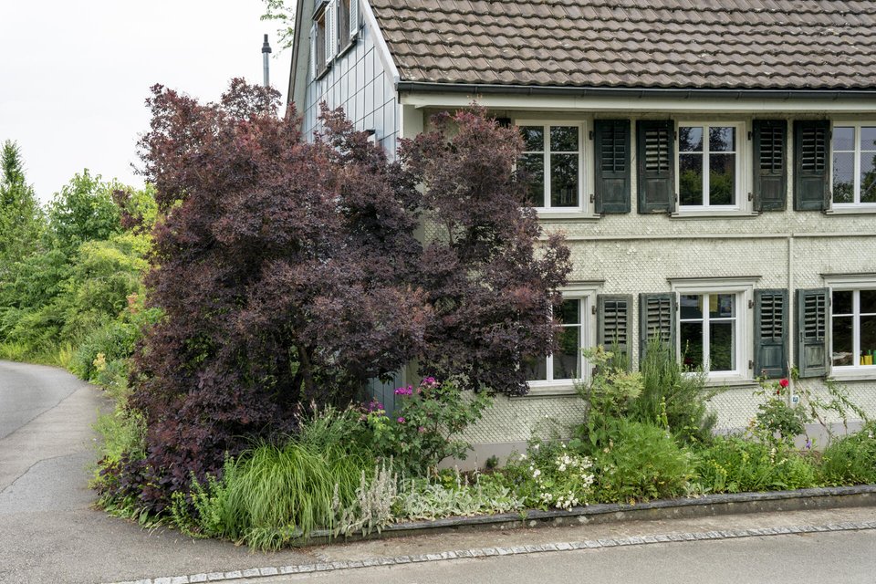 garten_leuthold_0141.jpg