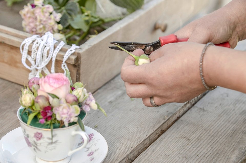 Blume mit scharfer Schere schneiden