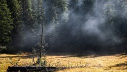 So schön kann ein Herbstmorgen auf der Lombachalp sein: Die Sonnenstrahlen brechen durch die Wolkendecke, das Moor dampft, und das Riedgras schillert in allen Farben.