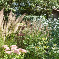 Gräser und spät blühende Stauden wie Fetthenne und Herbstanemone erfreuen im Spätsommer und bis in den Herbst hinein.