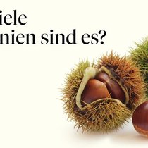 Schätzwettbewerb