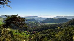 Prima Panorama