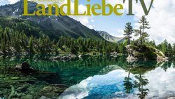 LandLiebe TV Wallpaper