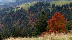 Hügel um Hügel einfach wunderbar! Unterwegs zwischen Lushütte und Hochänzi im Emmental.
