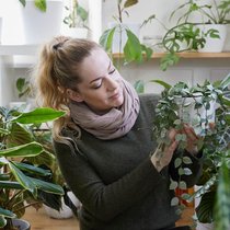 Na, wie geht es dir heute? Kim Kitcatt schaut jeden Tag bei jeder Pflanze vorbei. Die Wachsblume Hoya krohniana ‘Silver’ in ihren Händen scheint sich nicht zu beklagen.