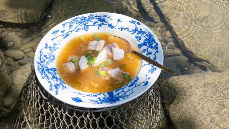Diese Suppe löffelt man noch so gerne aus: fangfrischer Zürichseefisch in Bouillon mit Gemüseeinlage.