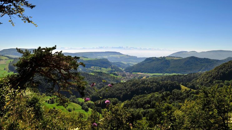 Prima Panorama